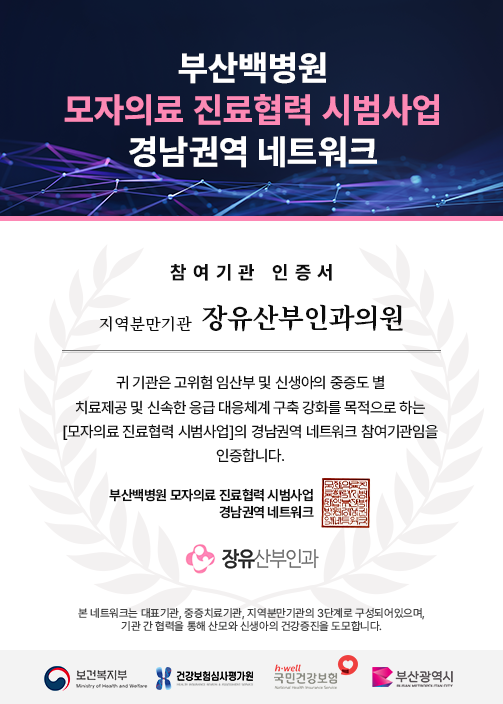 모자의료진료협력시범사업